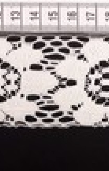 Ham Güpürümsü Düz Brode Bant