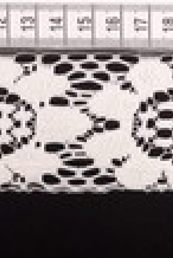 Ham Güpürümsü Düz Brode Bant