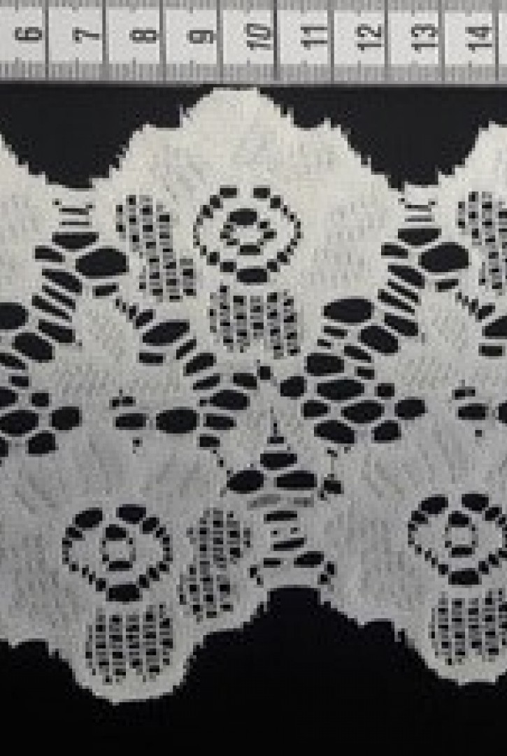 Ham Güpürümsü Polyester Brode Bant