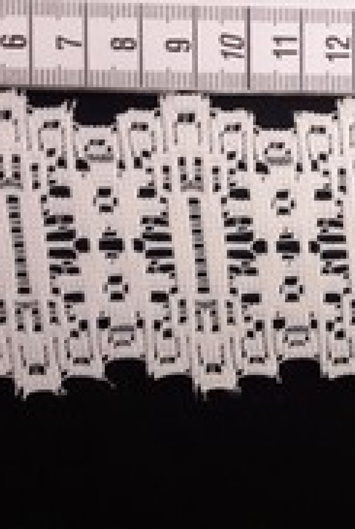 Ham Yapıda Düz Güpürümsü Brode Bant, Polyester