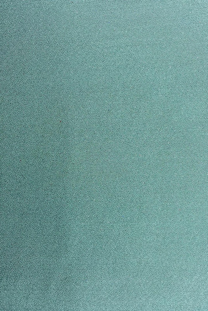 Hatalı Mint Simli İthal Tül