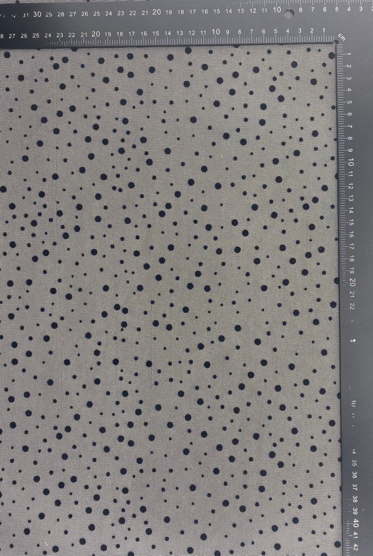 Siyah Puantiyeli Flok Baskı Tül