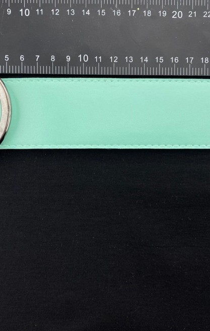 Suni Deri Kemer, Mint Renk, 105 cm