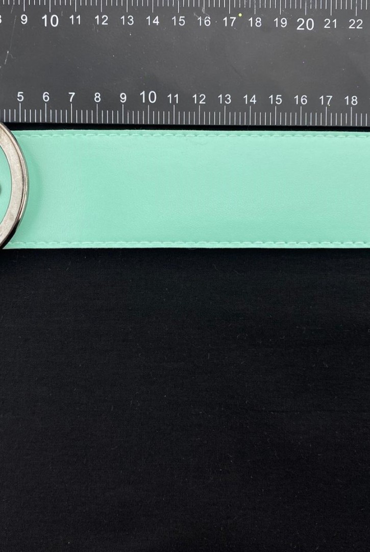 Suni Deri Kemer, Mint Renk, 105 cm