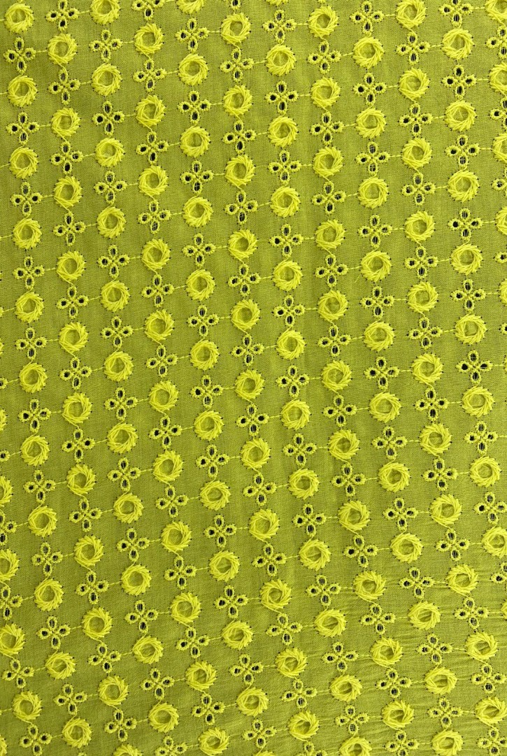 Sarı Bohreli Vual Brode