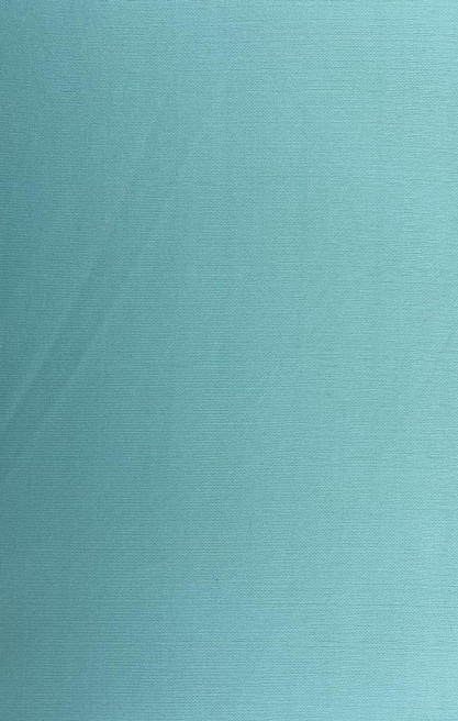 Mint Astar Polyester Kumaş, 160 cm