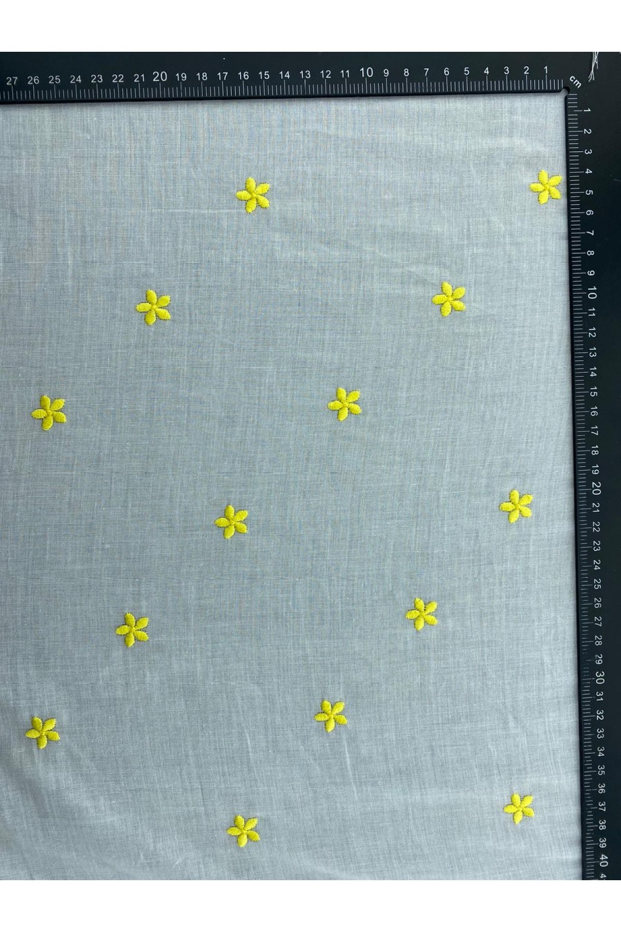 Sarı Nakışlı Vual Brode, Kasar Zemin