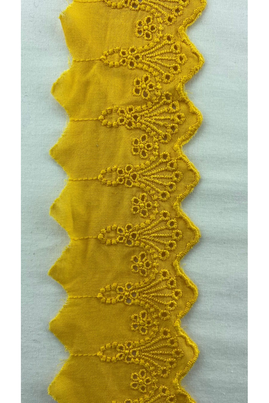 Sarı Vual Brode Bant