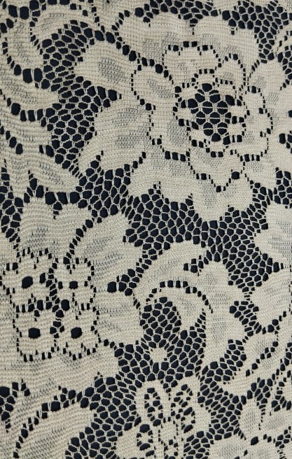 Bej Sakallı Mikro Dantel Bant