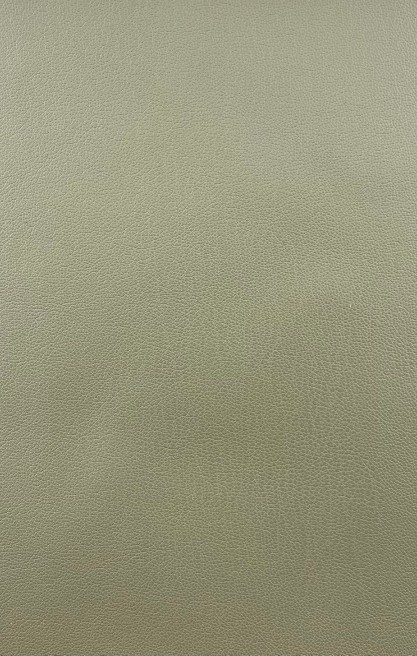 Zara Deri Çağla Yeşili Kumaş