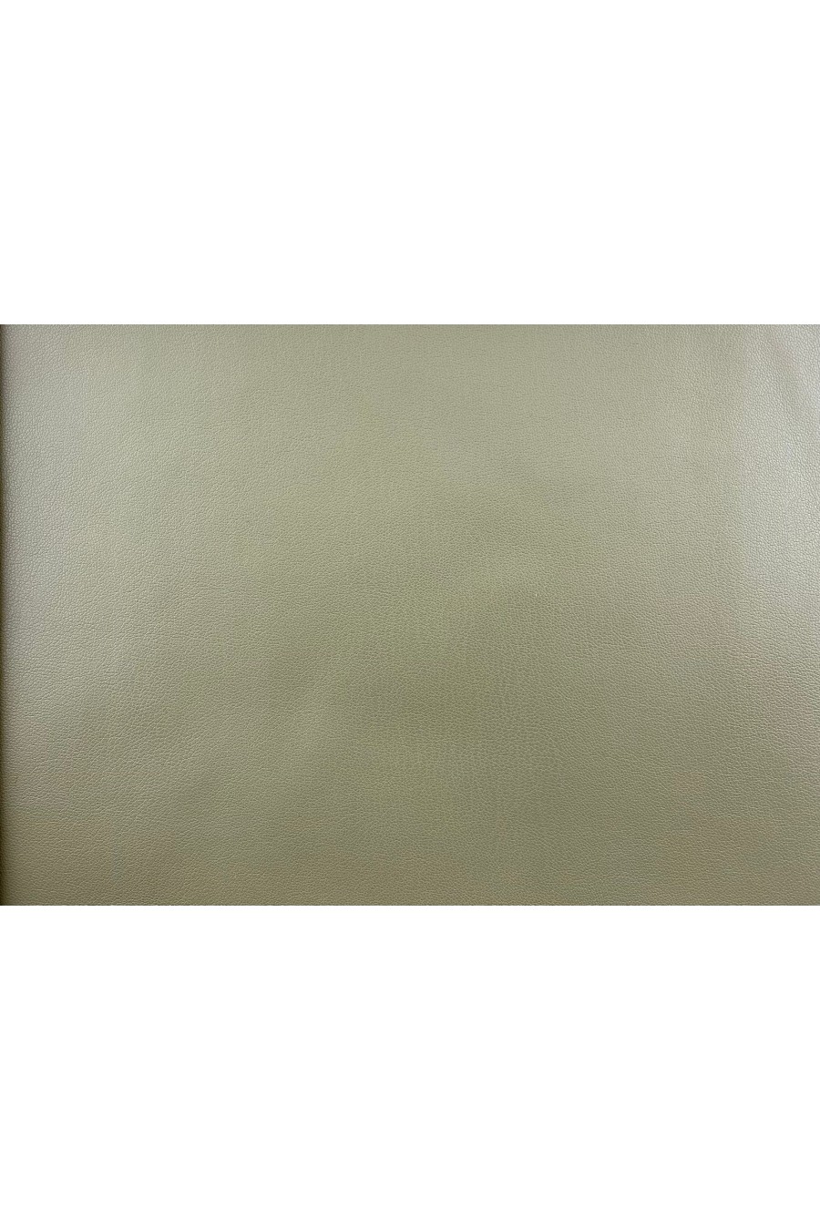 11434-METRE Zara Deri Çağla Yeşili Kumaş