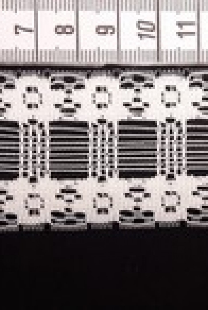 Ham Güpürümsü Düz Yerli Polyester Brode Bant