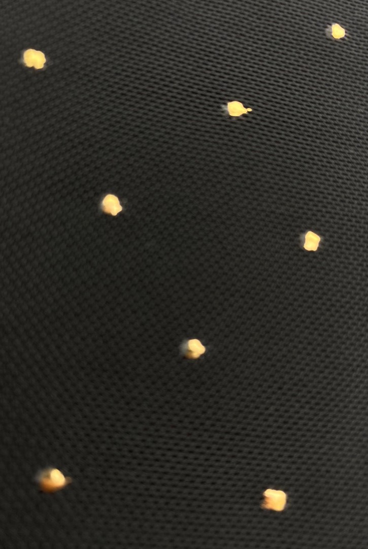 21763 DANTEL/YERLİ/LEZ/POLYESTER ELASTAN/GOLD PVC BASKI/SİYAH/160 CM