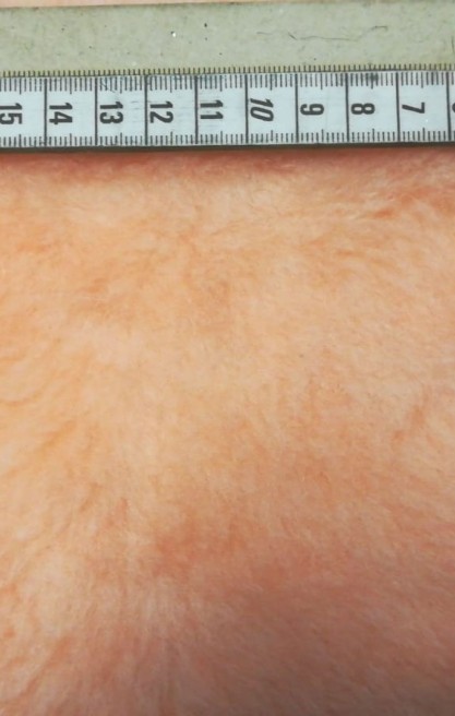 Somon Renkli Peluş Kumaş