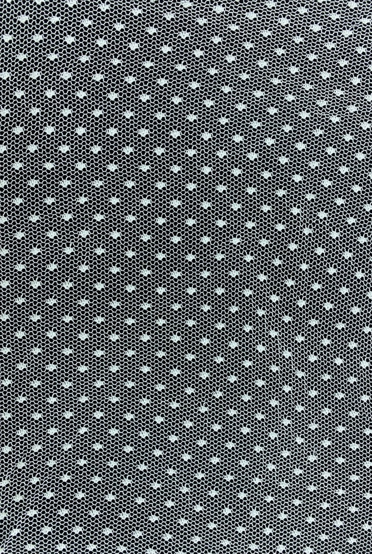 Kasar İşlemeli Puantiyeli Tül