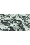 3219 DANTEL/YERLİ/LEZ/POLYESTER/FİKSE/150 CM