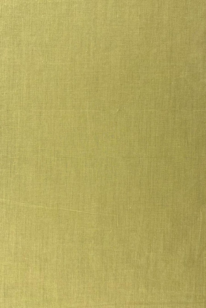 Olive Pamuk Vual Brode, 60/50 İplik, Yerli